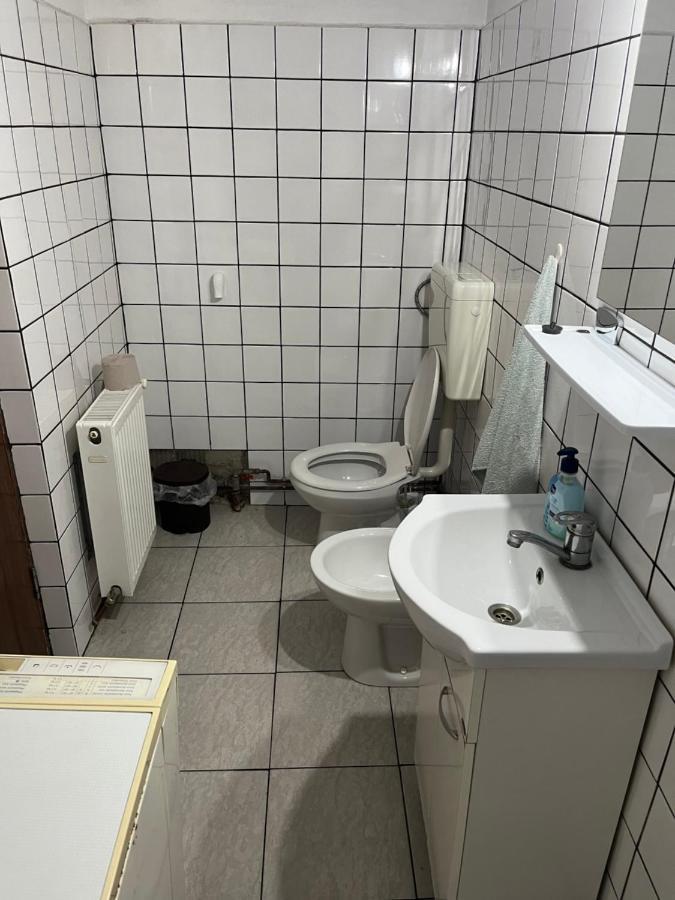Apartament Casa Lucian Cîrţişoara Zewnętrze zdjęcie