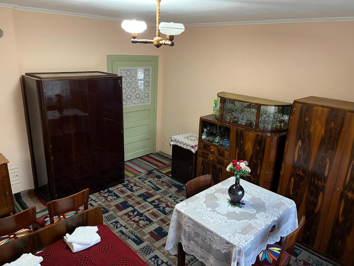 Apartament Casa Lucian Cîrţişoara Zewnętrze zdjęcie