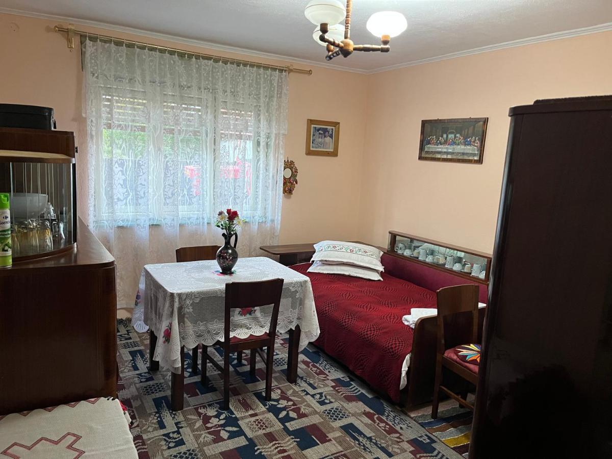 Apartament Casa Lucian Cîrţişoara Zewnętrze zdjęcie