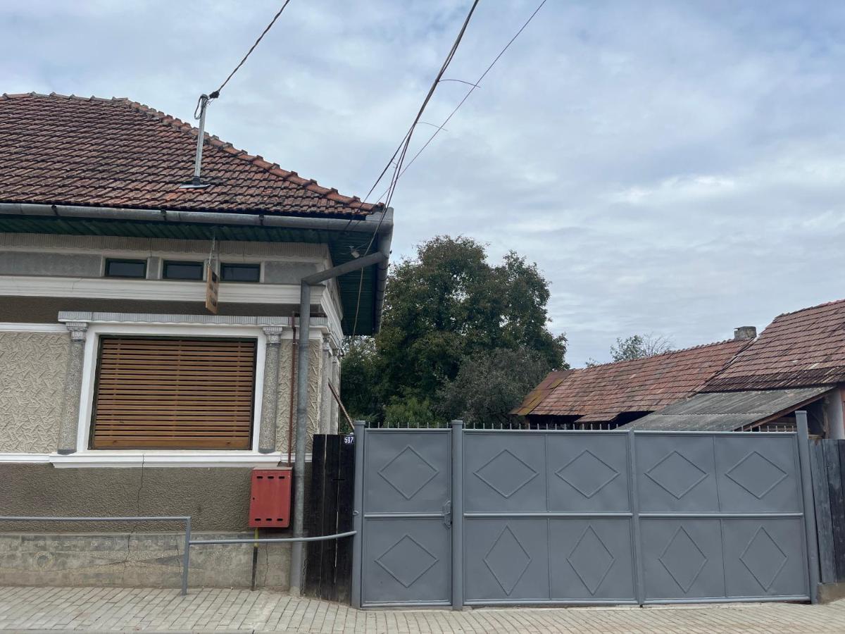 Apartament Casa Lucian Cîrţişoara Zewnętrze zdjęcie