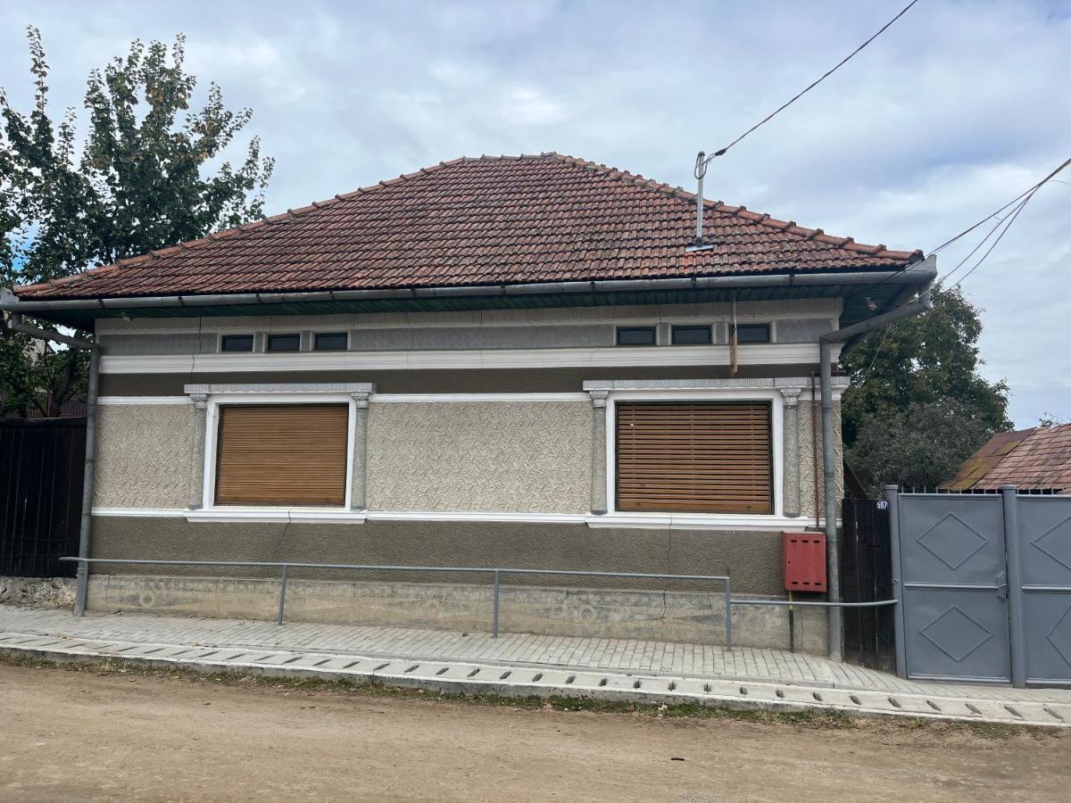 Apartament Casa Lucian Cîrţişoara Zewnętrze zdjęcie